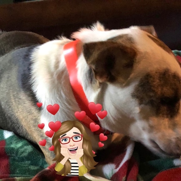 Meet your Posher, Judy - Picture 6 of 10